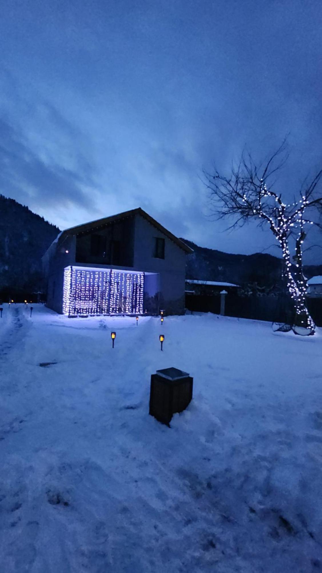 Gesh House Daire Borjomi Dış mekan fotoğraf